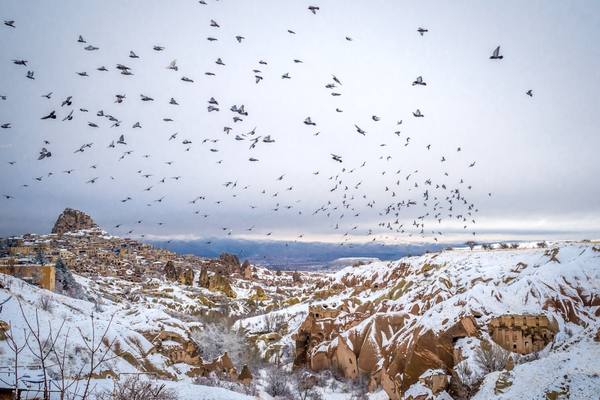 Best Time To Visit Pigeon Valley