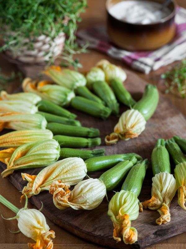 Stuffed Zucchini Flowers 